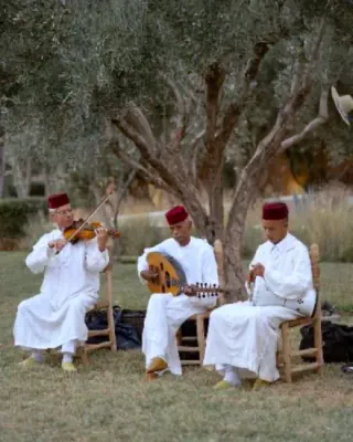 Musiciens traditionnels dans un jardin d’oliviers