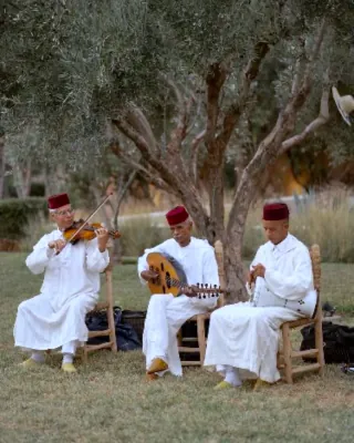 Musiciens traditionnels dans un jardin d’oliviers